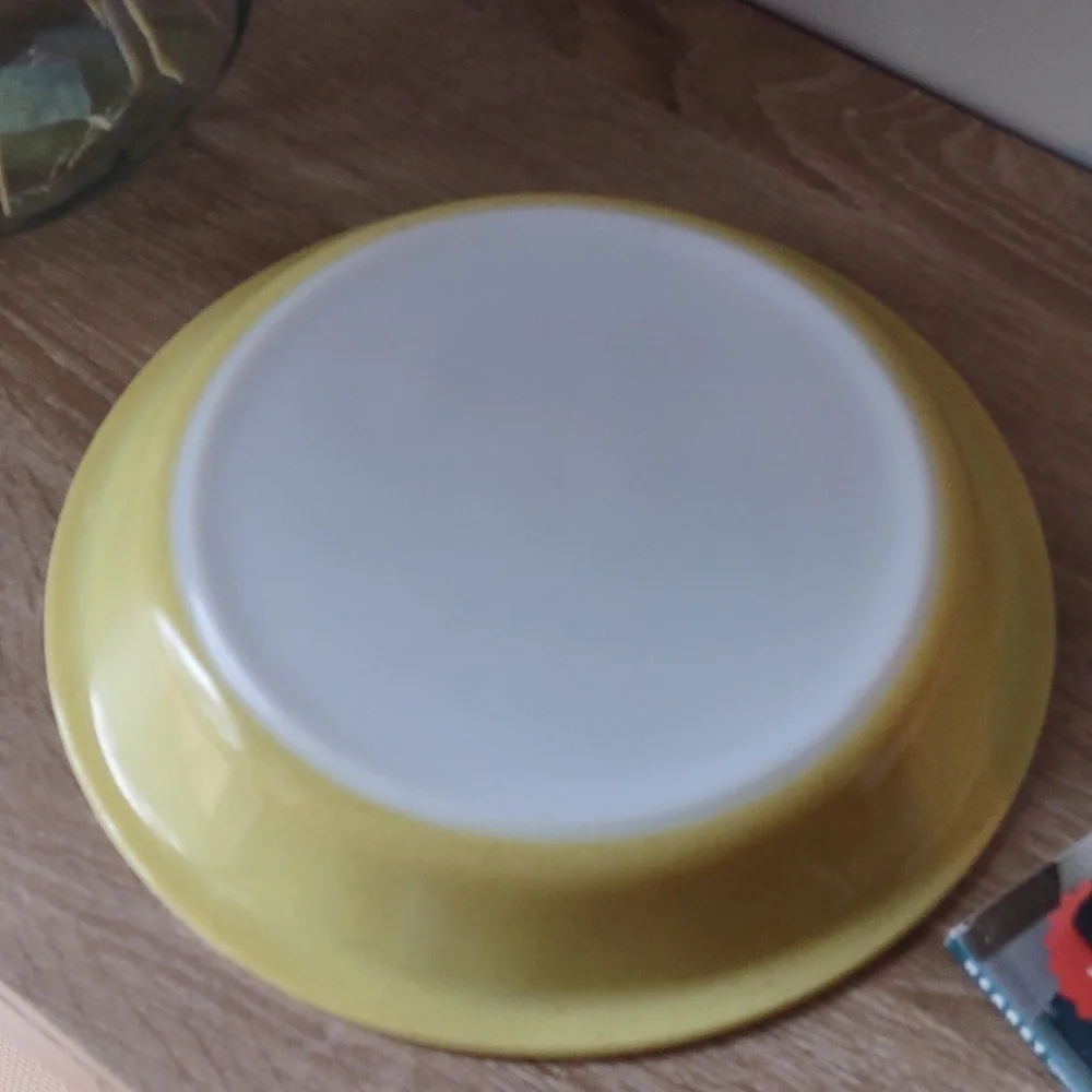 Pyrex Desert Dawn #209 8.5